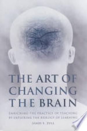 The Art of Changing the Brain