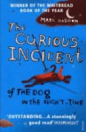 The Curious Incident of the Dog in the Night-time