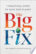 The Big Fix