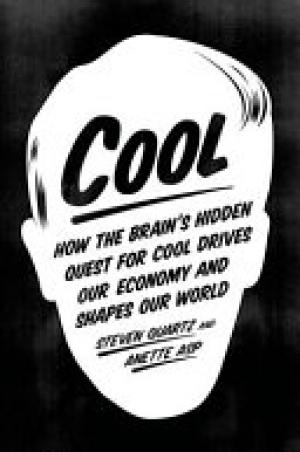 Cool: How the brain's hidden quest for COOL drives our economy and shapes our world